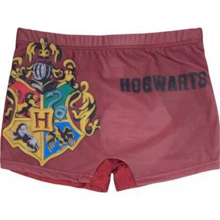 Traje de baño Harry Potter