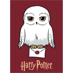 Harry potter Fleecedecke - New discount.com