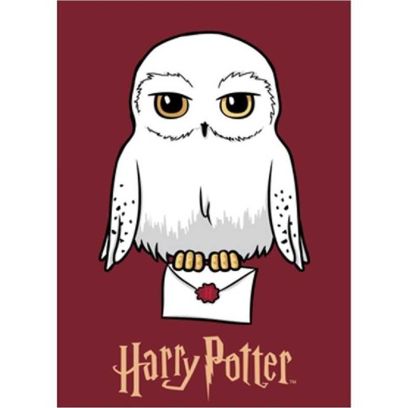 Harry potter Fleecedecke - New discount.com
