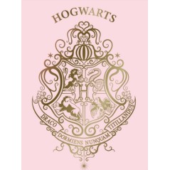 Plaid Polaire Harry potter fille - New discount.com