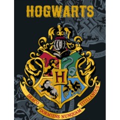Coperta in pile Harry Potter - New discount.com