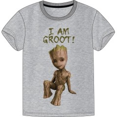 T-shirt Gardien de la galaxie Marvel - New discount.com