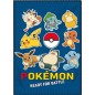 Plaid Polaire Pokémon - New discount.com