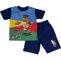 Paw Patrol Beach set