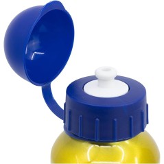Aluminiumflasche Paw Patrol 400 ML - New discount.com