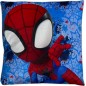 Spidey cushion