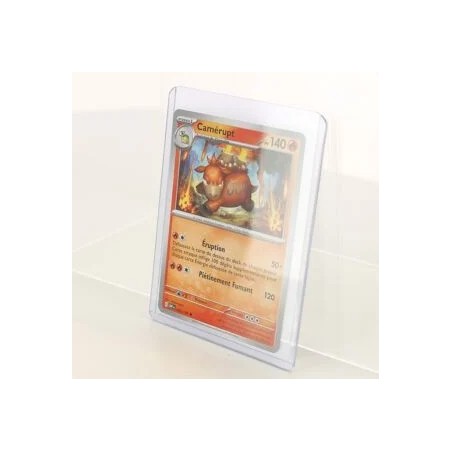 Toplaoder Deluxe Protection