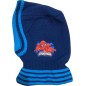Spiderman Hood