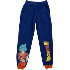 Dragon ball Z Jogging Set -New discount.com