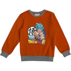 Dragon ball Z Jogging Set -New discount.com