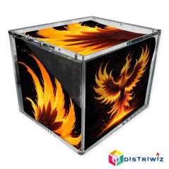Protection Acrylique pour Display de 8 Mini tin Pokémon - New disco...