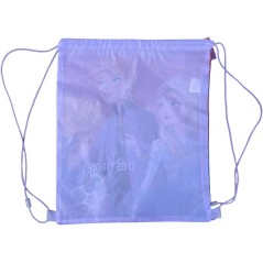 Frozen Disney pool bag