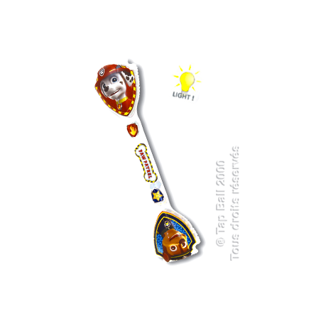 Baguette flash pat patrouille