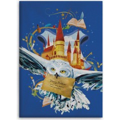 Manta de lana Minnie Disney -New discount.com