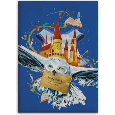 Harry potter Fleecedecke - New discount.com