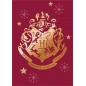 Manta polar Harry Potter -New discount.com