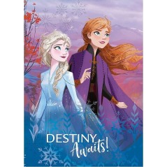 Manta Frozen 2 Disney -New discount.com