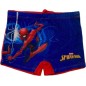 Swimsuit Spider-man  